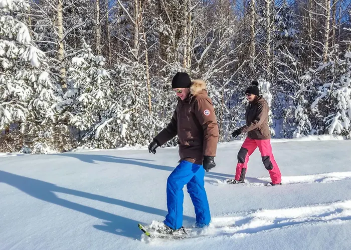 Kalliohonka By Interhome Hébergement de vacances